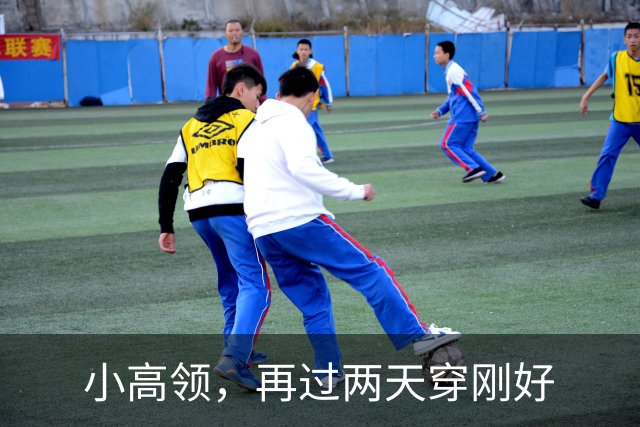小高领，再过两天穿刚好